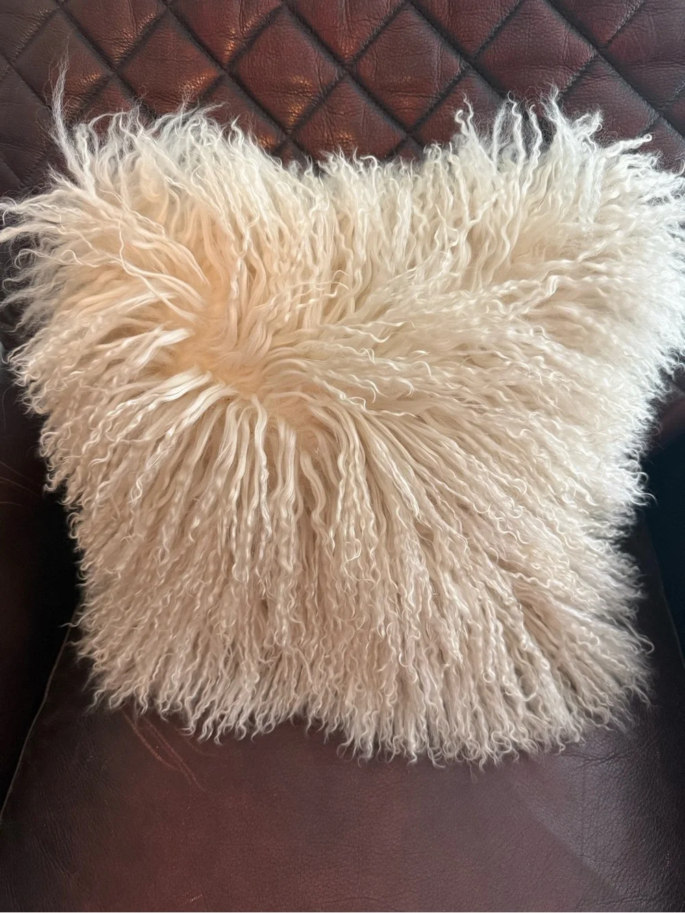 Pier 1 Mongolian Lambs Fur Throw Pillow Cover 12.5 X 12.5 Ivory